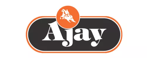 Logo Designing